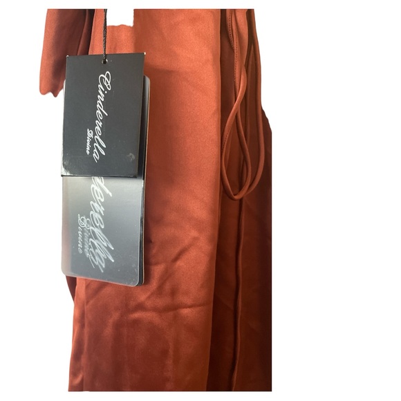 NWT Corset Cowl Satin Dress in Sienna - Picture 6 of 7